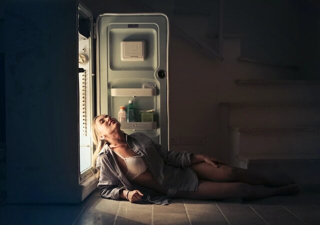 Comment choisir son réfrigérateur